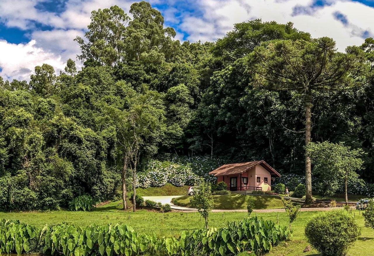 Pousada Pinhal Alto Nova Petropolis Esterno foto